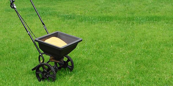 fertilizer bucket on a green lawn providing key nutrients