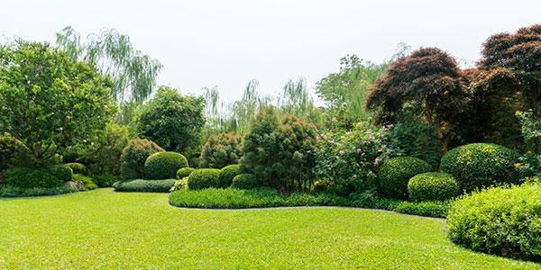 Meticulously maintained landscaoes featuring a collection of green bushes and trees
